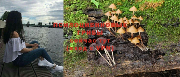 круглые Алзамай